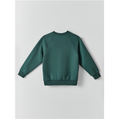 СВИТШОТ ДЛЯ МАЛЬЧИКОВ 123500