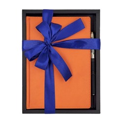 Подарочный набор Ежедневник недатированный А5+ 272 стр. "LEADER" (ОРАНЖЕВЫЙ)+ ручка 3-129/06-2 Bruno Visconti