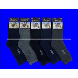 Витязь носки мужские внутри махра верблюжья шерсть арт. F8-09