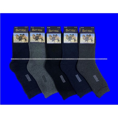 Витязь носки мужские внутри махра верблюжья шерсть арт. F8-09