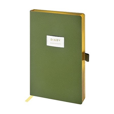 Ежедневник недатированный А5 256 стр. "VERDE" с нашивкой 3-823/03 Bruno Visconti