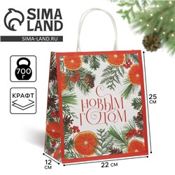 Пакет подарочный новогодний крафтовый «Новогоднее чудо», 22×25×12 см