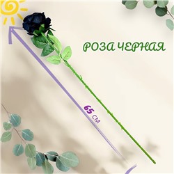 Роза бархат ярко-черная с шипами 65см, бутон 10x10см