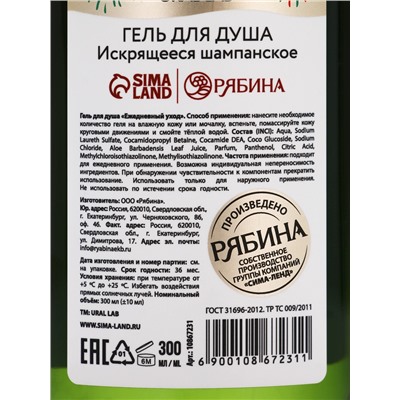 Подарочный набор New Year holidays, гель для душа 300 мл и соль для ванны 200 мл, URAL LAB