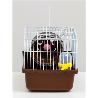 Клетка для грызунов «Пижон», 23×17×17 см, коричневая
