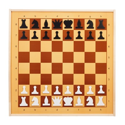 Шахматы и шашки магнитные, демонстрационные 73×73×3.5 см, король h=6.4 см