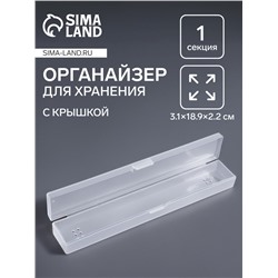 Бокс для хранения, с крышкой, 3.1×18.9×2.2 см, прозрачный