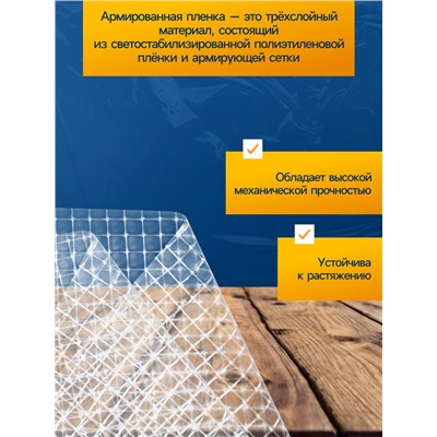 Плёнка армированная, полиэтиленовая с леской, 25×2 м, толщина 400 мкм, с УФ-стабилизатором, Greengo