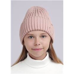 453006 CLEVER Шапка