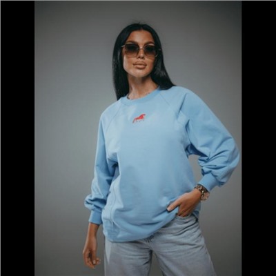 Свитшот Символ (Голубой)