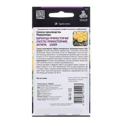 Семена цветов Бархатцы прямостоячие «Антигуа Еллоу», 15 шт.