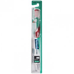 LION SYSTEMA Зубная щётка двойного действия Dual Action Toothbrush
