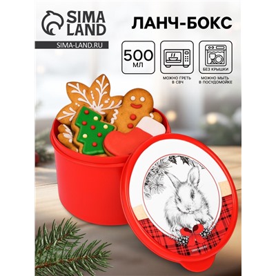 Ланч - бокс новогодний «Зайка», 500 мл