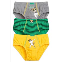 Трусы 3 шт. PELICAN, 227330