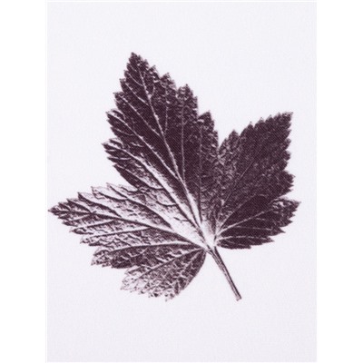 Шторы для кухни с подхватами «Этель» Impression 145×180 см, комплект - 2 шт.