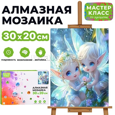 Мозаика алмазная "Сказочные эльфы" 20*30см.
