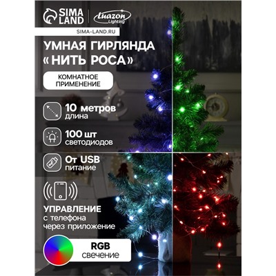 Умная гирлянда «Нить» 10 м роса, IP20, серебристая нить, 100 LED, управление с приложения, свечение RGB, USB
