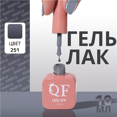 Гель лак для ногтей, однотонный, трехфазный, 10 мл, LED/UV, серый (251)