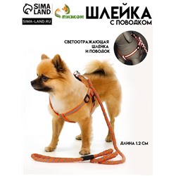 Комплект «Плетенка», флуоресцентный, поводок 115×1 см, ОГ 32-48×1.5 см, оранжевый