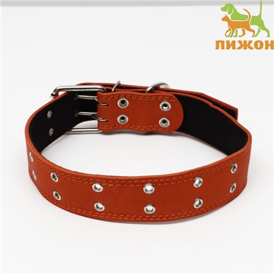 Ошейник кожаный на синтепоне, безразмерный, 83×4.5 см, ОШ 20-71 см, оранжевый