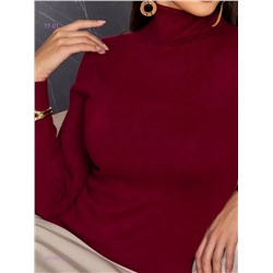 Водолазка 2052081-1