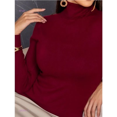 Водолазка 2052081-1