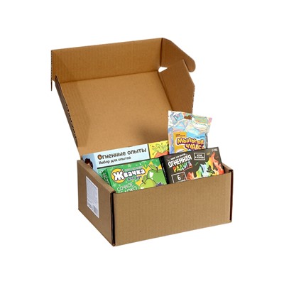 Набор для опытов «Новогодний бокс», 4 набора для опытов, 1 сюрприз