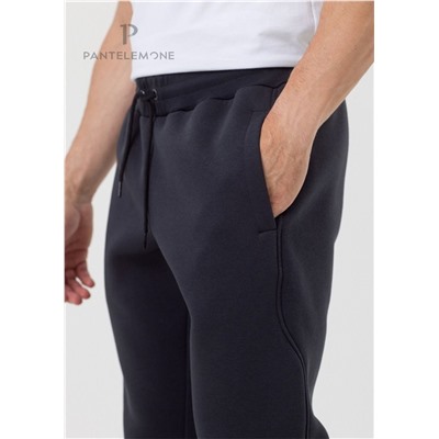 PDBB-231 (Брюки мужские спортивные, PanteLemone )