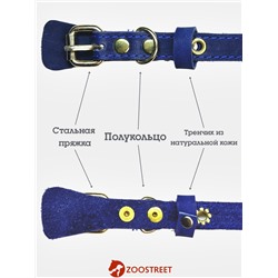 Ошейник, безразмерный, 35×1.5 см, с подпряжником, кожа, синий