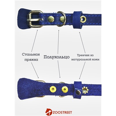 Ошейник, безразмерный, 35×1.5 см, с подпряжником, кожа, синий