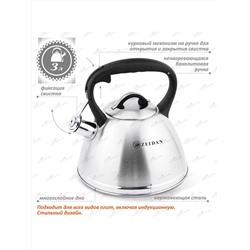 ZEIDAN Чайник Z-4468