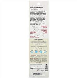 RADIUS, Source Brush, Soft, Replaceable Head, 1 Toothbrush