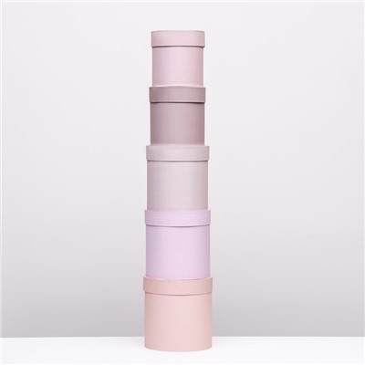 Набор шляпных подарочных коробок 5 в 1 «Пудра»,20×20×20‒13.5×13.5×13.5 см