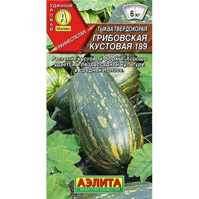 Тыква Грибовская кустовая 189 (Аэлита)