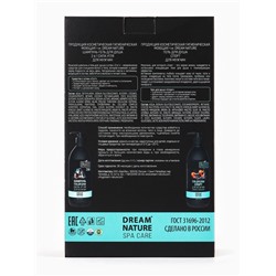 Подарочный набор мужской DREAM NATURE SPA CARE «Сила льда», шампунь 500 мл, гель для душа 500 мл