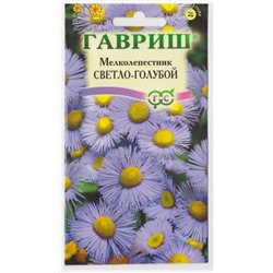 Мелколепестник Светло-голубой (Код: 4221)