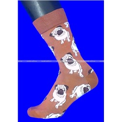 Nice Socks (AMIGOBS) ЦВЕТНЫЕ ВЫСОКИЕ НОСКИ на вешалке арт. 2208
