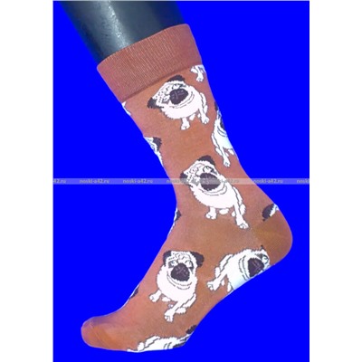 Nice Socks (AMIGOBS) ЦВЕТНЫЕ ВЫСОКИЕ НОСКИ на вешалке арт. 2208