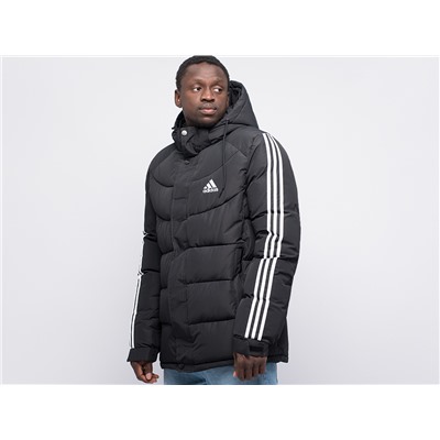 Куртка зимняя Adidas
