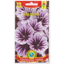 Мальва Зебрина   (Код: 76008)