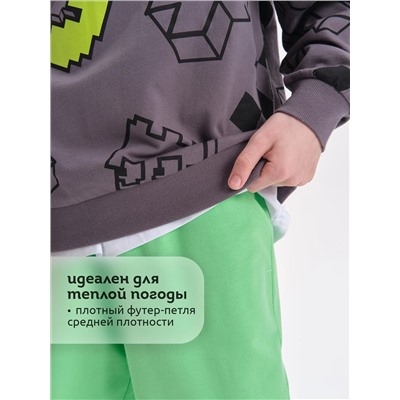 PELICAN Толстовка BFN3369/2