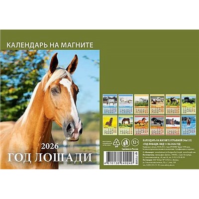 Календарь на магните отрывной 2026 г. 96х135 мм "Год лошади. Вид 1" 1126008 Атберг