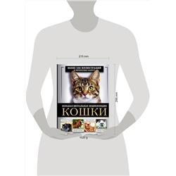 АСТ Дмитрий Смирнов, Анна Спектор "Кошки. Большая визуальная энциклопедия"