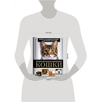 АСТ Дмитрий Смирнов, Анна Спектор "Кошки. Большая визуальная энциклопедия"