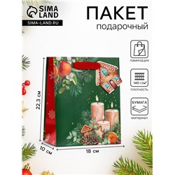 Пакет подарочный новогодний ламинированный с тиснением «Уют», люкс, 18×22.3×10 см