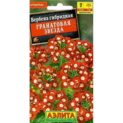 1348A Вербена Гранатовая звезда 0,1 г