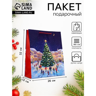 Пакет подарочный новогодний ламинированный, «Новогодний каток», 26×12×32 см