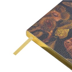 Ежедневник недатированный А5 256 стр. ЛАЙТ "Орехи" 3-743/10 Bruno Visconti