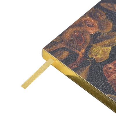 Ежедневник недатированный А5 256 стр. ЛАЙТ "Орехи" 3-743/10 Bruno Visconti