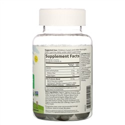 Garden of Life, Kids Probiotic, 3 Billion CFU, Cherry, 30 Vegetarian Gummies